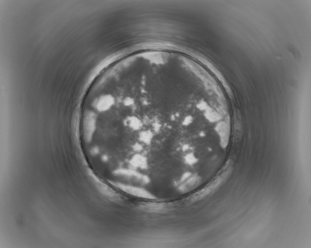X0000111641245200908281150