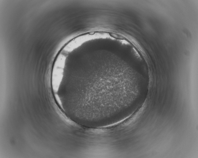 X0000111641246200908281150