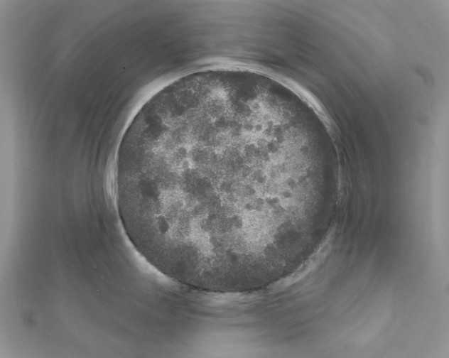 X0000111641247200908281150