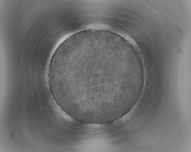 X0000111641248200908281150