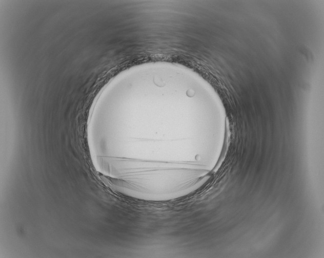X0000111641249200908281149