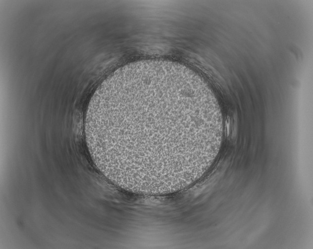X0000111641251200908281149