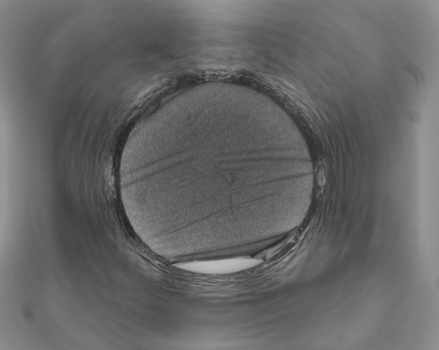 X0000111641252200908281149