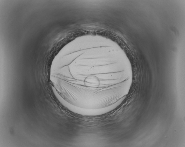 X0000111641253200908281149