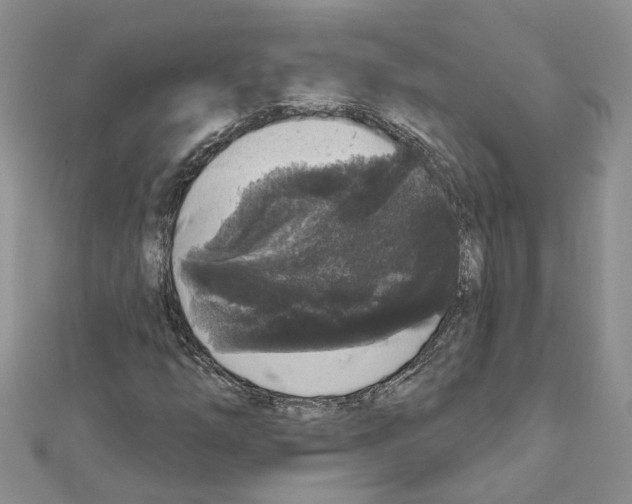 X0000111641254200908281149
