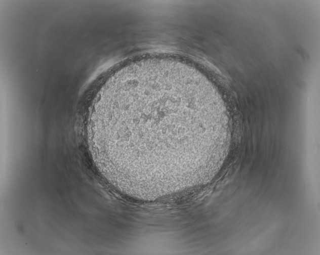 X0000111641255200908281149