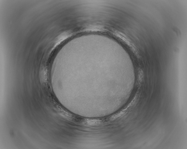 X0000111641258200908281149