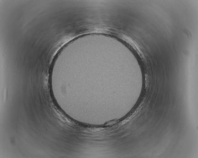 X0000111641260200908281149