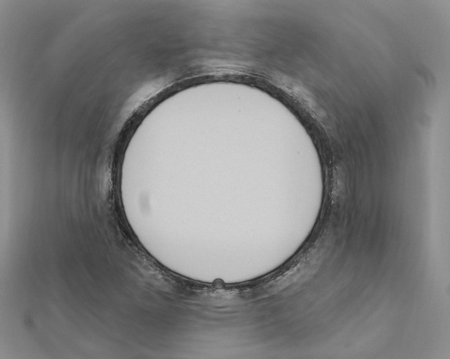 X0000111641261200908281149
