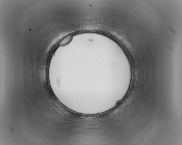 X0000111641262200908281149