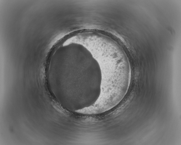 X0000111641263200908281149
