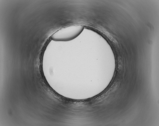 X0000111641264200908281149