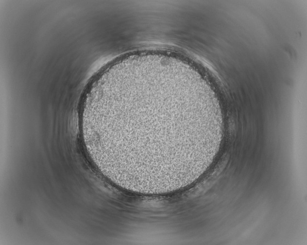 X0000111641267200908281149
