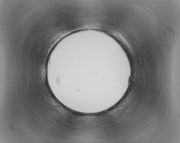 X0000111641268200908281149
