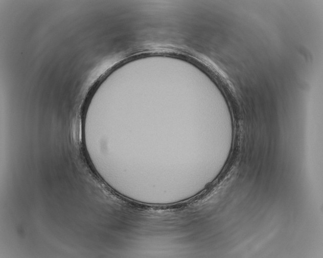 X0000111641269200908281149