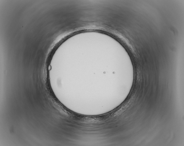 X0000111641270200908281149