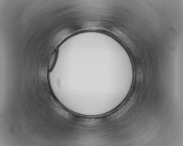 X0000111641273200908281149