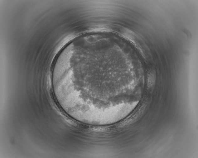 X0000111641274200908281149