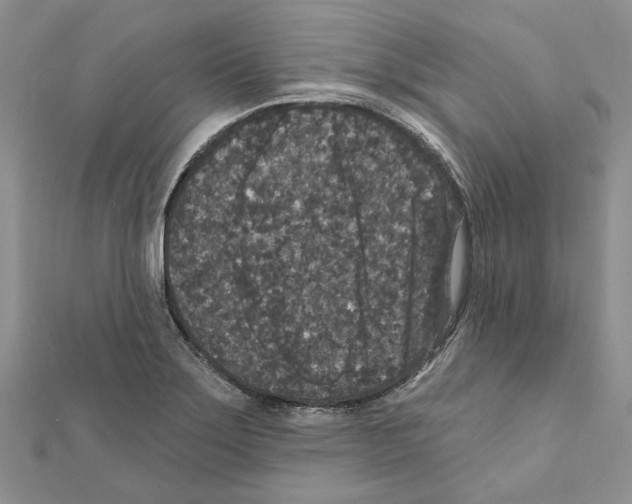X0000111641275200908281149