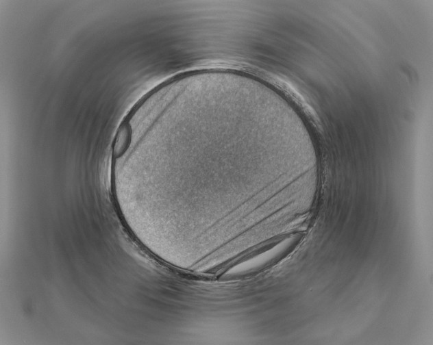 X0000111641276200908281149