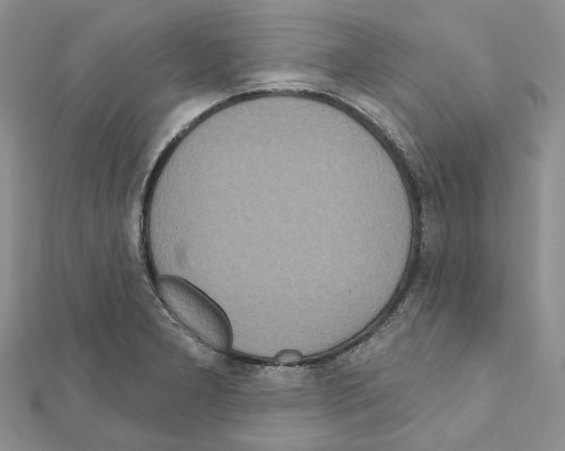 X0000111641277200908281149