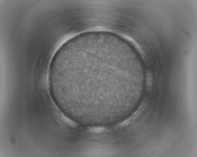 X0000111641278200908281149