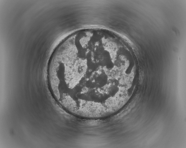 X0000111641279200908281149