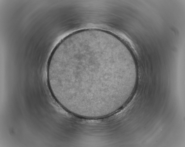 X0000111641280200908281149