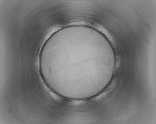 X0000111641282200908281149