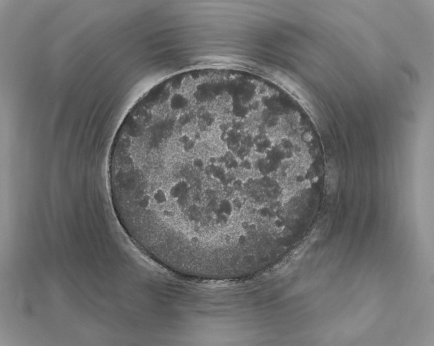 X0000111641283200908281149