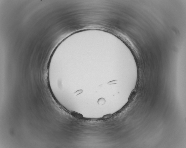 X0000111641284200908281149