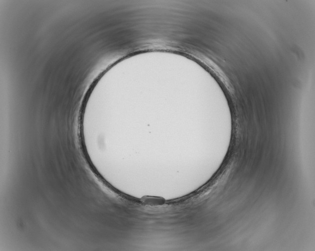X0000111641285200908281149