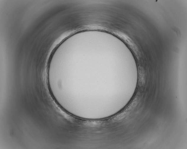 X0000111641286200908281149