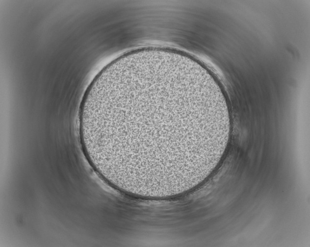 X0000111641287200908281149
