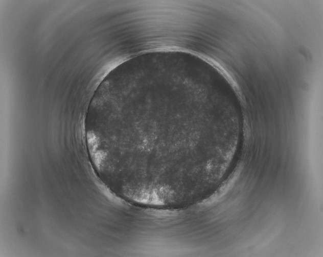 X0000111641289200908281149