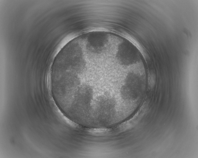 X0000111641290200908281149