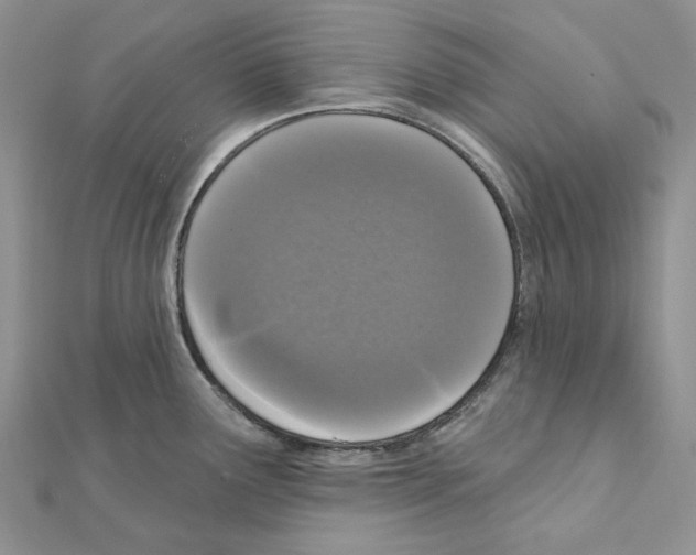 X0000111641291200908281149