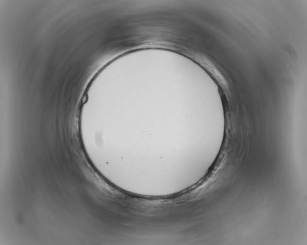 X0000111641292200908281149