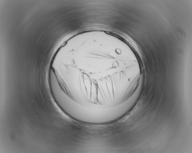 X0000111641293200908281149