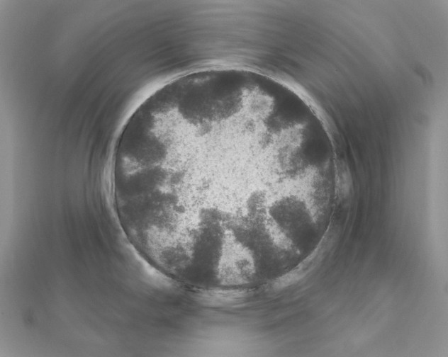 X0000111641294200908281149
