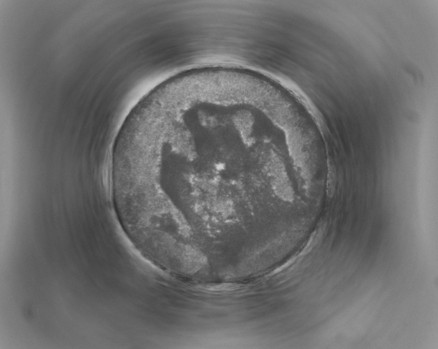 X0000111641295200908281149