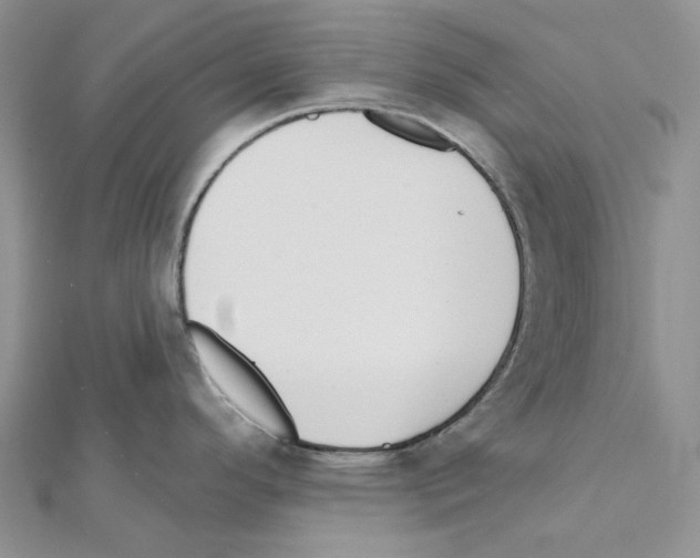 X0000111641296200908281149
