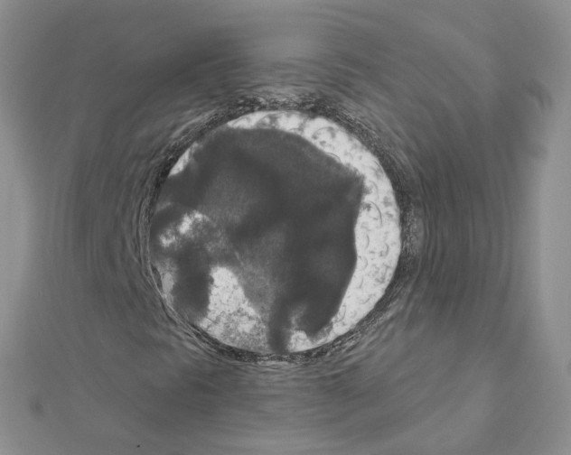 X0000111641297200908281148