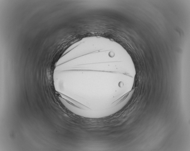 X0000111641298200908281148