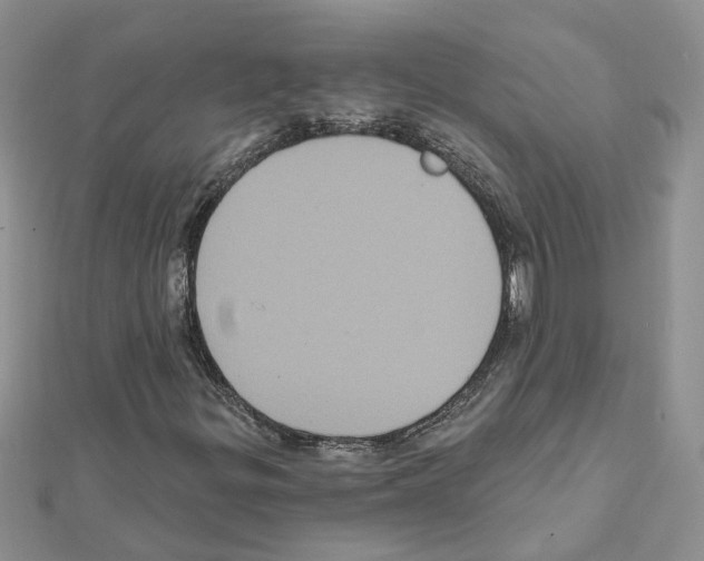 X0000111641299200908281148