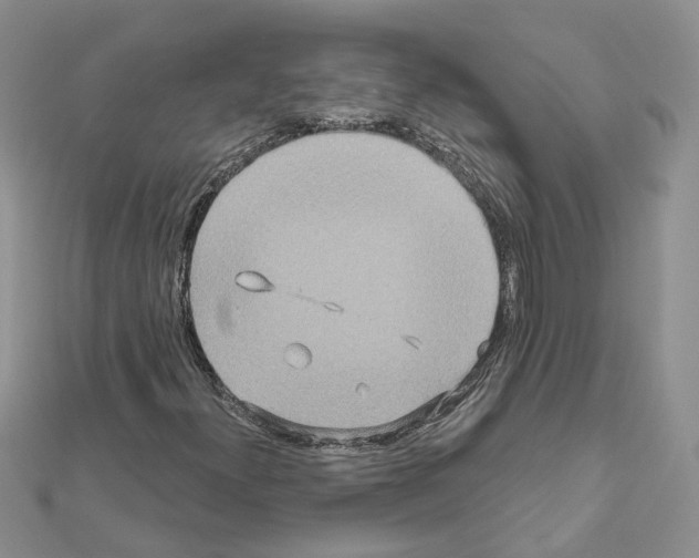 X0000111641300200908281148