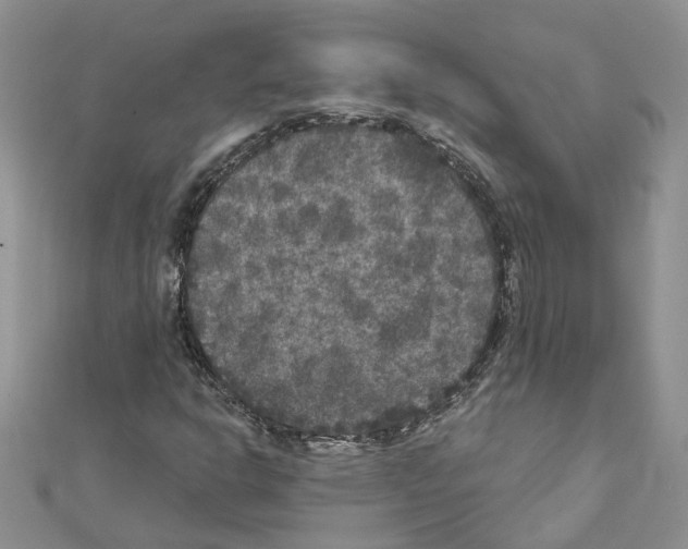X0000111641302200908281148
