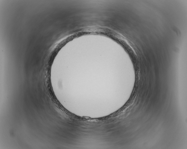 X0000111641304200908281148