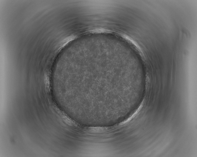 X0000111641305200908281148