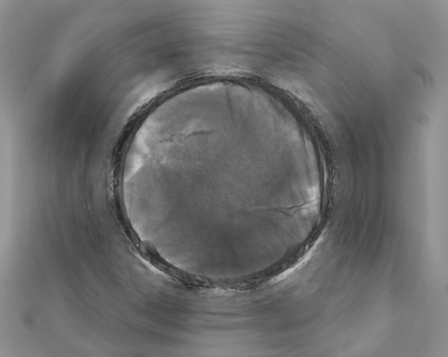 X0000111641306200908281148